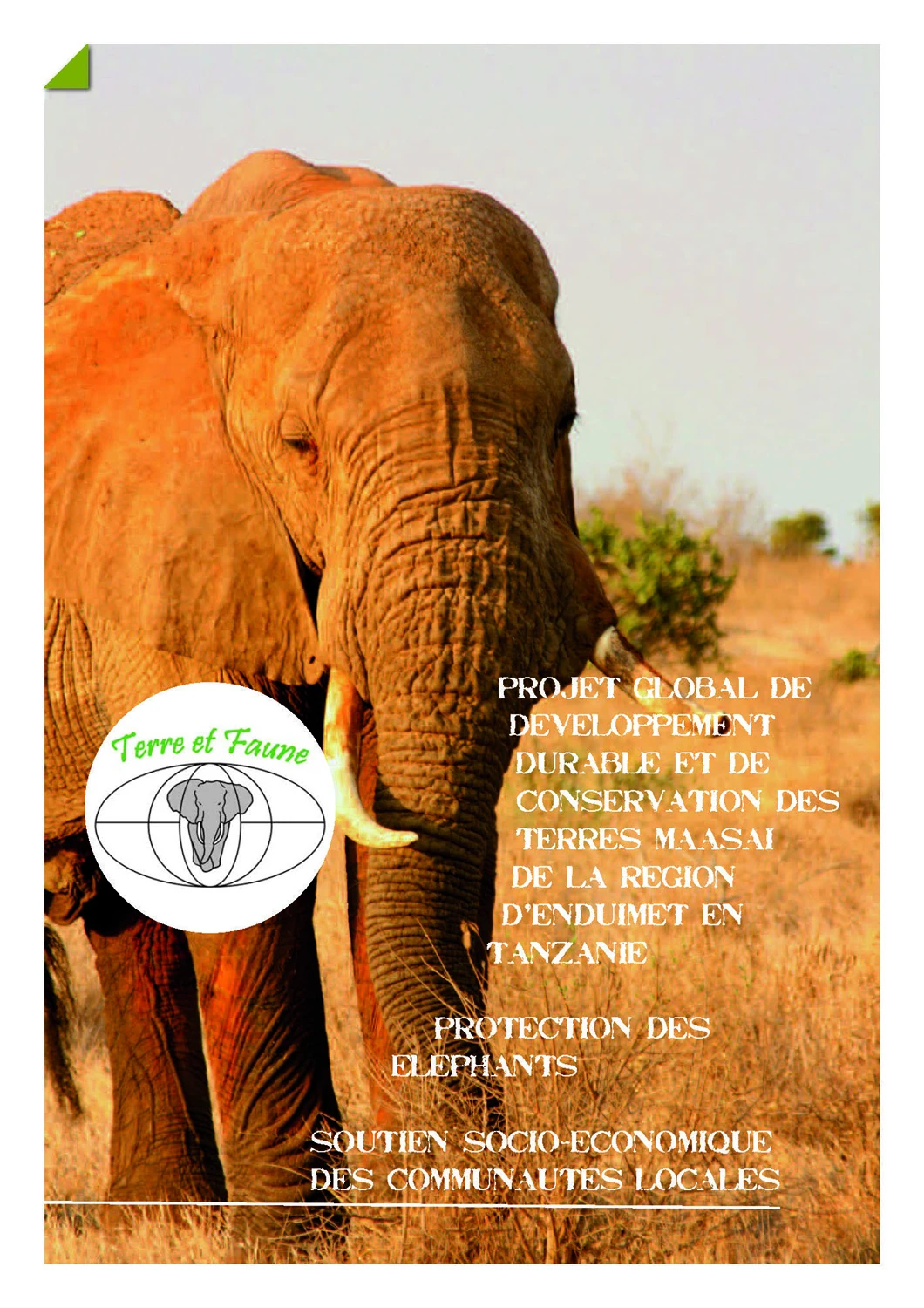 depliant elephanteaux