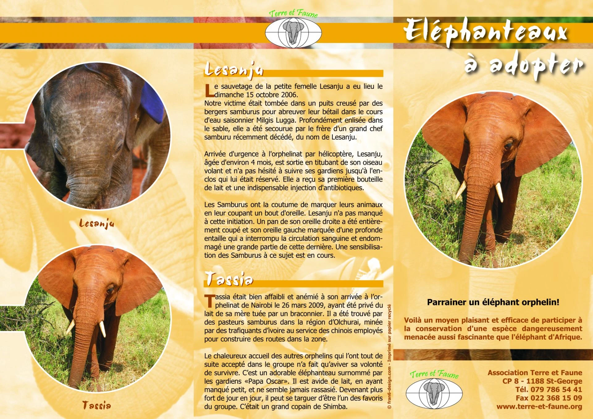 depliant elephanteaux