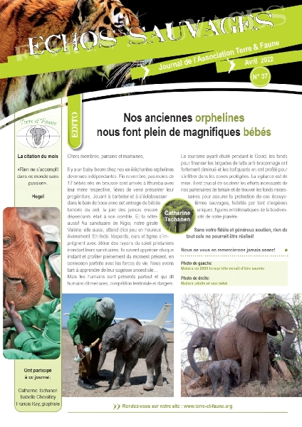 Echos sauvages 37 - Couverture