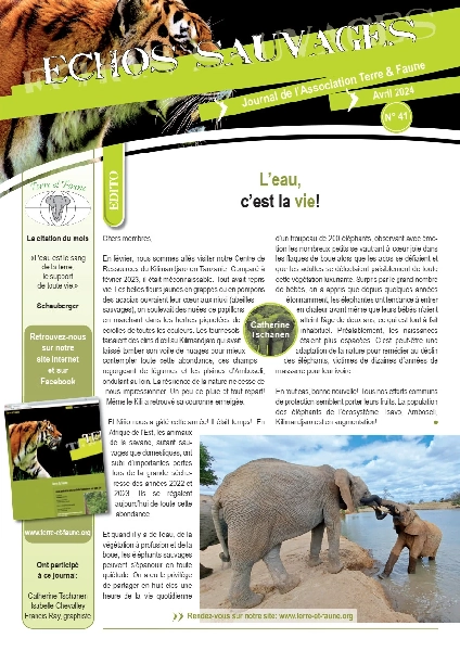 Echos sauvages 41 - Couverture