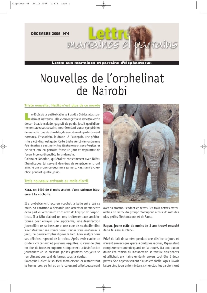 Lettre éléphanteaux 4