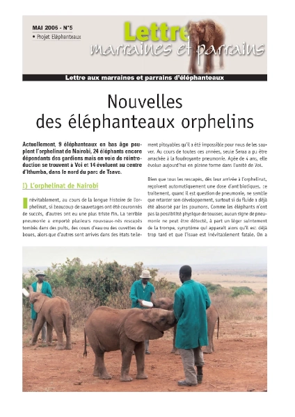 Lettre éléphanteaux 5
