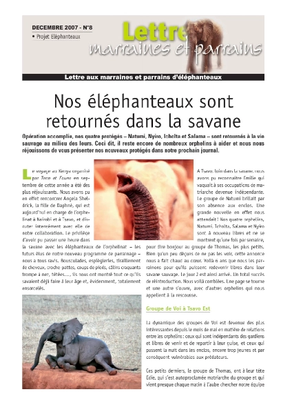 Lettre éléphanteaux 8