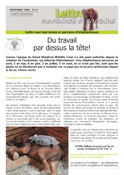 Lettre éléphanteaux 12