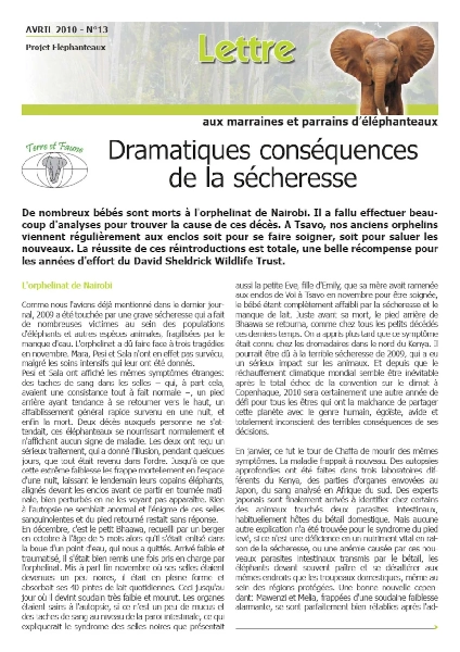 Lettre éléphanteaux 13