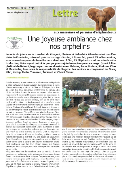 Lettre éléphanteaux 14