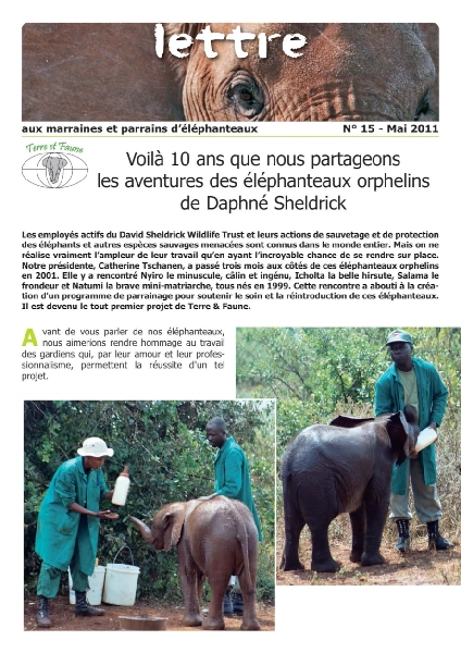 Lettre éléphanteaux 15