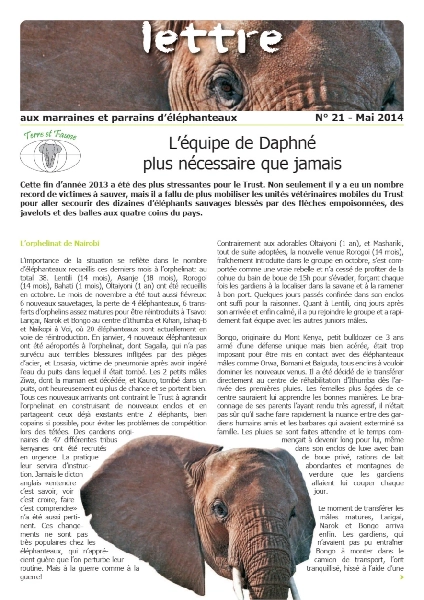 Lettre éléphanteaux 21