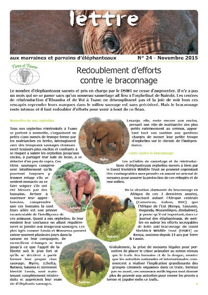Lettre éléphanteaux 24