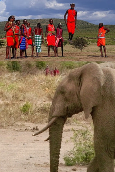 Eléphants et Maasaï