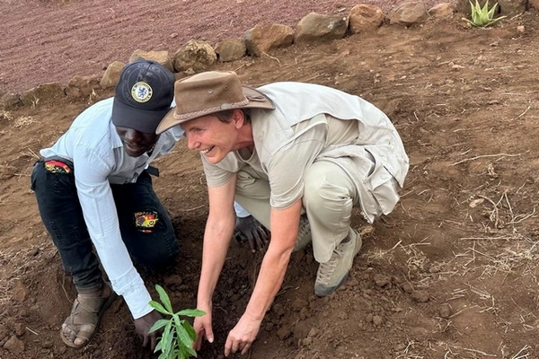Plantation d'un arbre