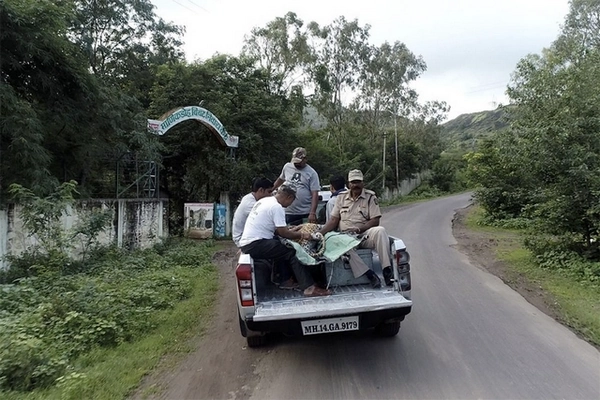 Unité vétérinaire mobile