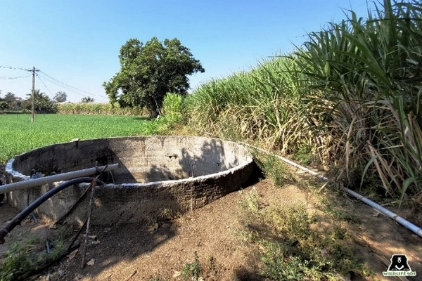 Puits non protégé Puits non protégé