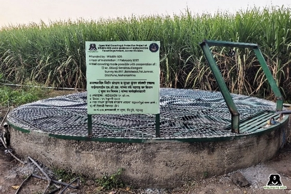 Puits protégé avec des grillages Puits protégé avec des grillages