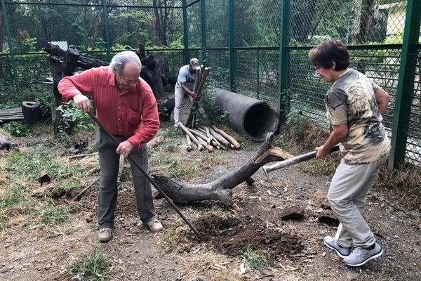 Enrichissement de l'enclos de Shivani. Angelina Leuthold et Pierre Challandes, membres Terre & Faune, creusent un trou... Enrichissement de l'enclos de Shivani. Angelina Leuthold et Pierre Challandes, membres Terre & Faune, creusent un trou...