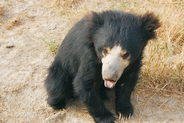 Image ours