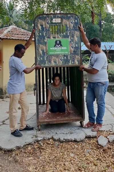 Catherine en cage Cat en cage