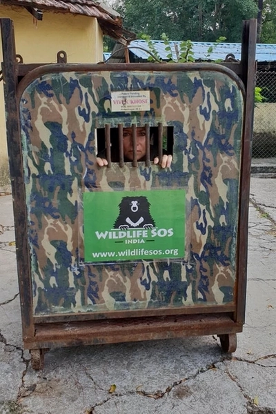 Catherine en cage Cat en cage