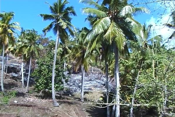 img0353