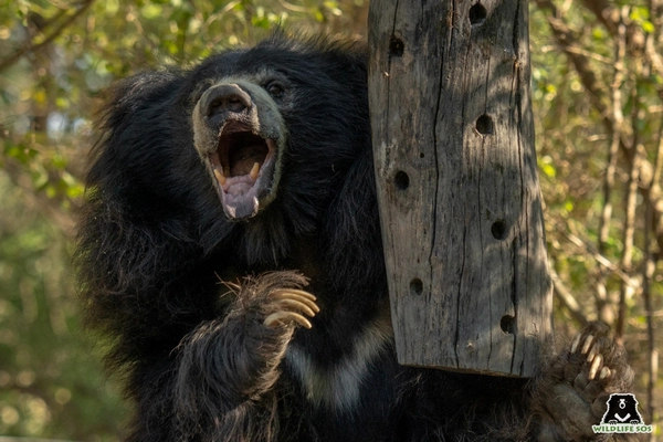 Image ours