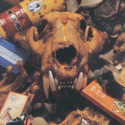 Commerce chinois de produits de tigres Commerce chinois de produits de tigres