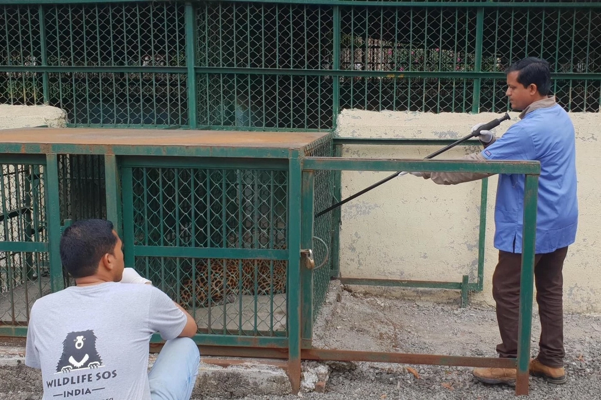 Dr Ajay Deshmuk, vétérinaire, responsable du centre Dr Ajay Deshmuk, vétérinaire, responsable du centre