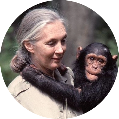 Jane Goodall