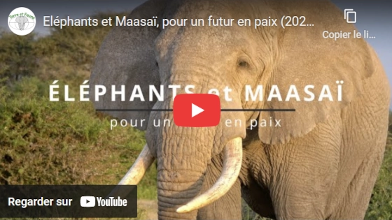 Eléphants et Maasaï - Pour un avenir en paix