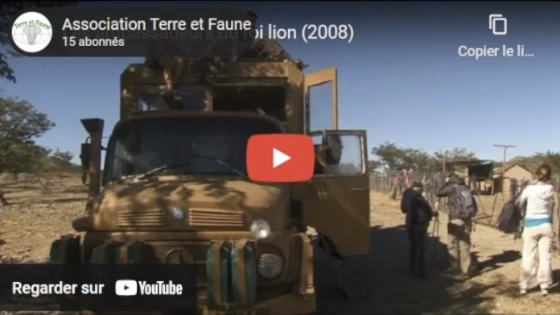 Les ambassadeurs du roi lion