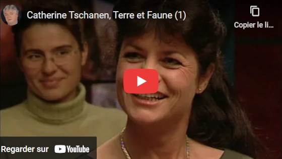 Zig zag café sur YouTube