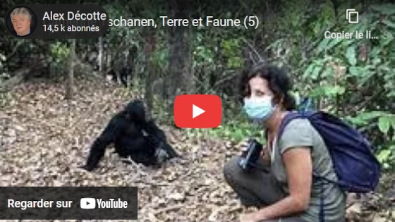 Zig zag café sur YouTube