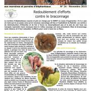 Journal des éléphanteaux 24