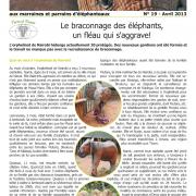 Journal des éléphanteaux 19