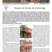 Journal des éléphanteaux 18