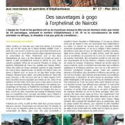 Journal des éléphanteaux 17