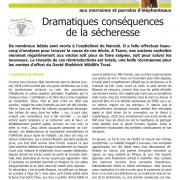 Journal des éléphanteaux 13