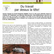 Journal des éléphanteaux 12