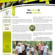 Couverture Echos Sauvages 31