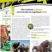 Couverture Echos Sauvages 37